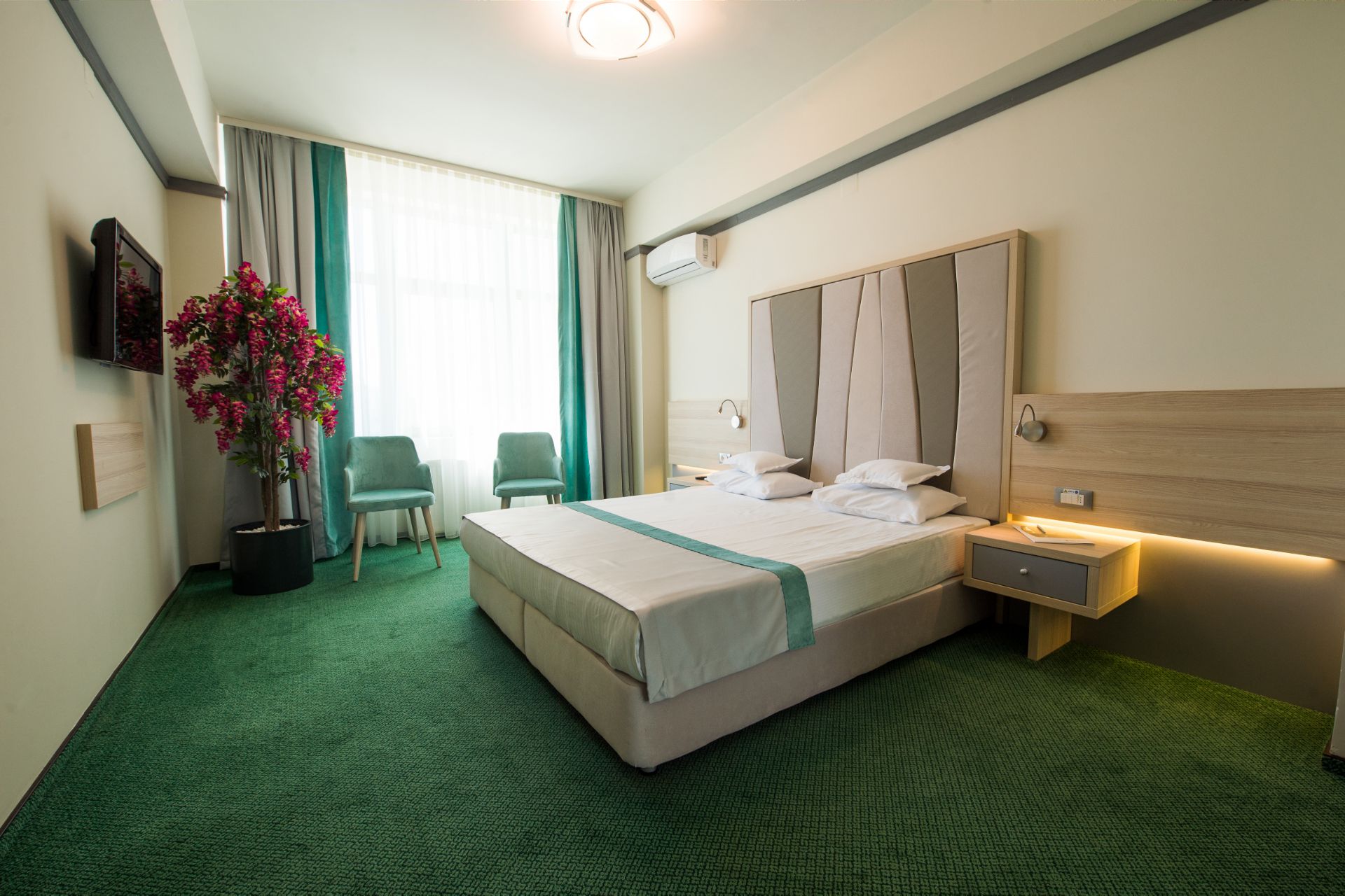 hotel_malibu_ap_standard3